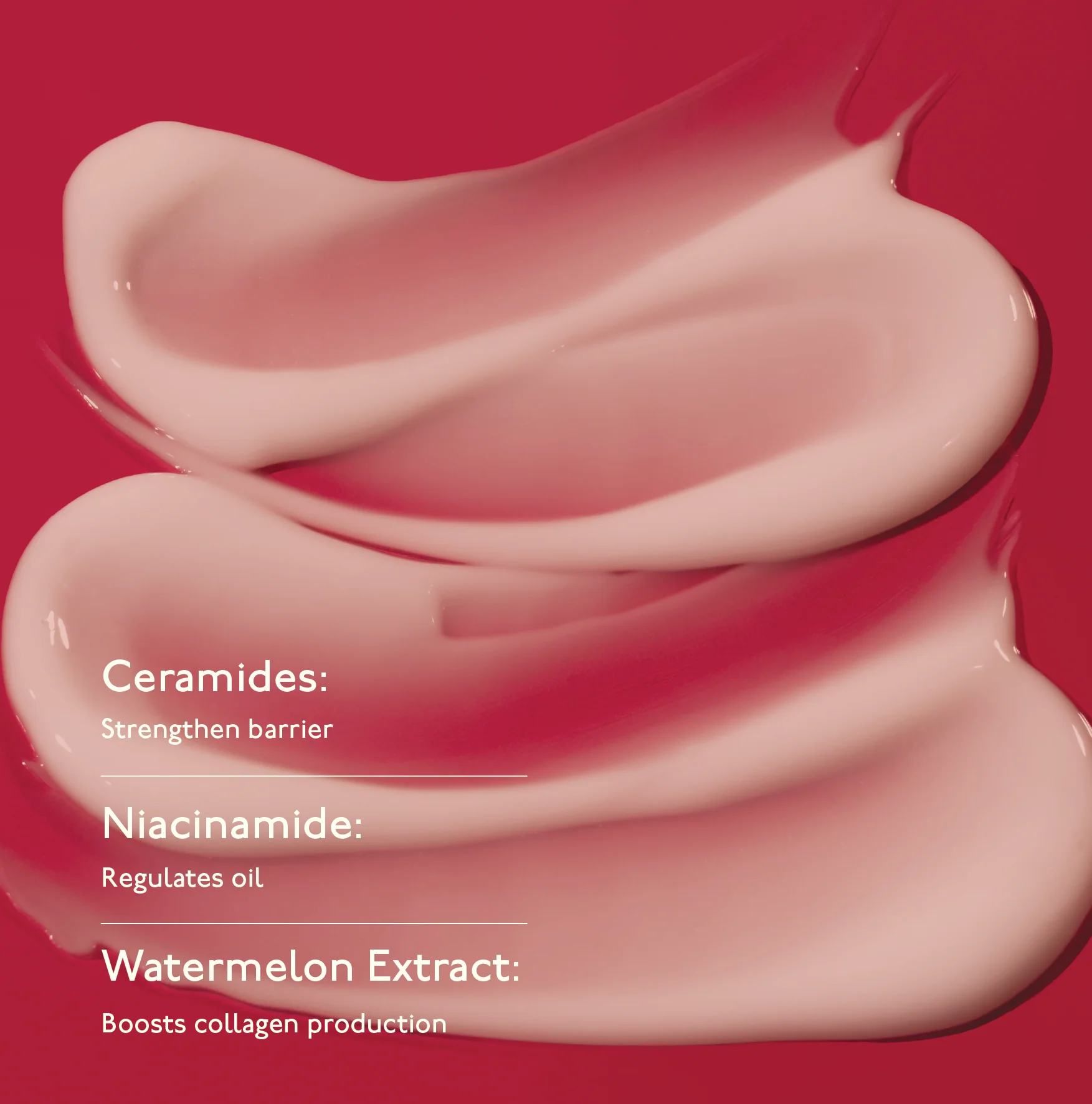 Moisture Cocoon Creme - Hydrating & Glow Moisturizer with Niacinamide - For Dry Skin - Image 3